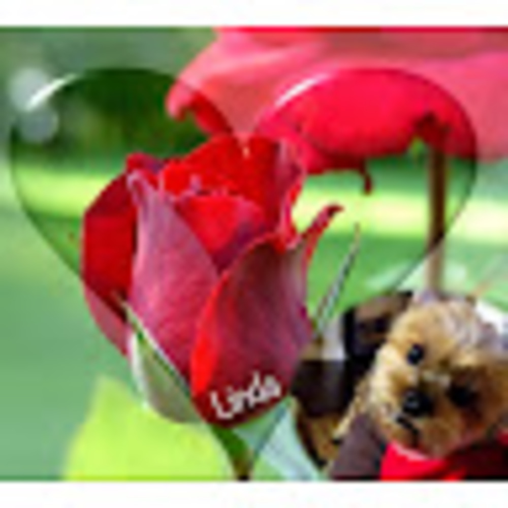 Meet your Posher, Linda